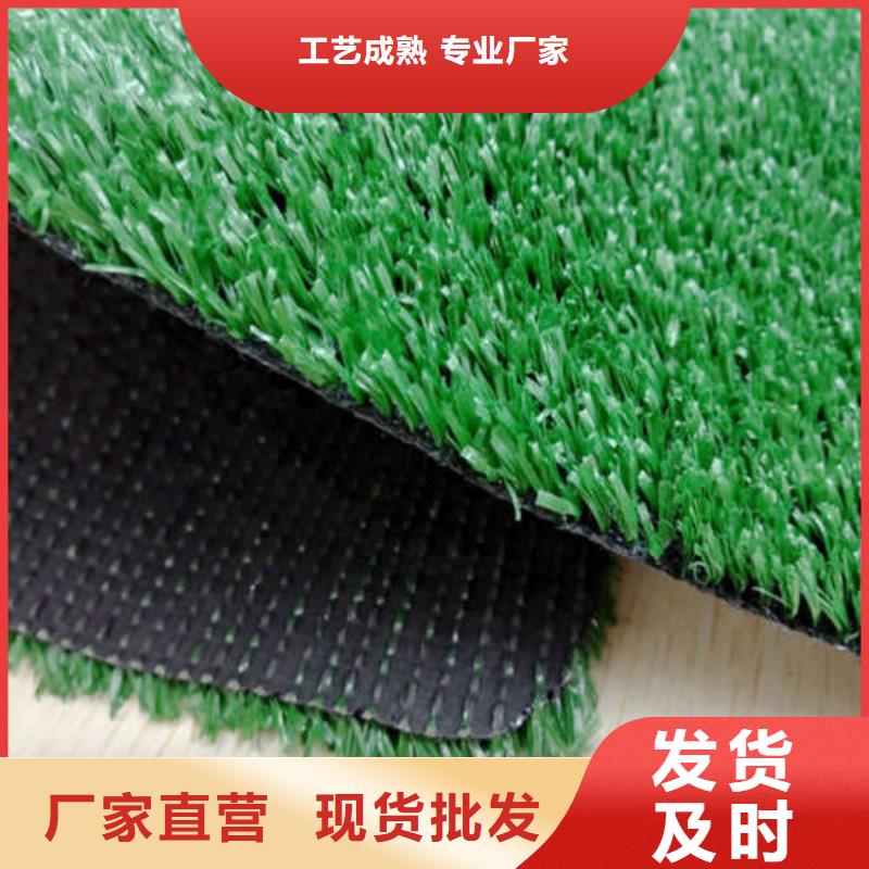 硅pu球场视频-硅pu球场-河北省廊坊市【同城】货源-固安|霸州|石家庄|衡水|承德|保定|张家口