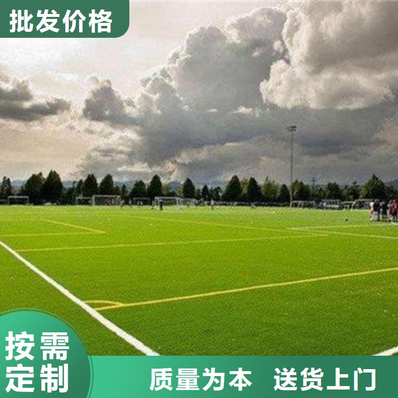 硅pu球场视频-硅pu球场-江苏省宿迁市沭阳|泗阳|徐州|扬州|淮安|无锡|盐城|常州|泰州(同城)公司