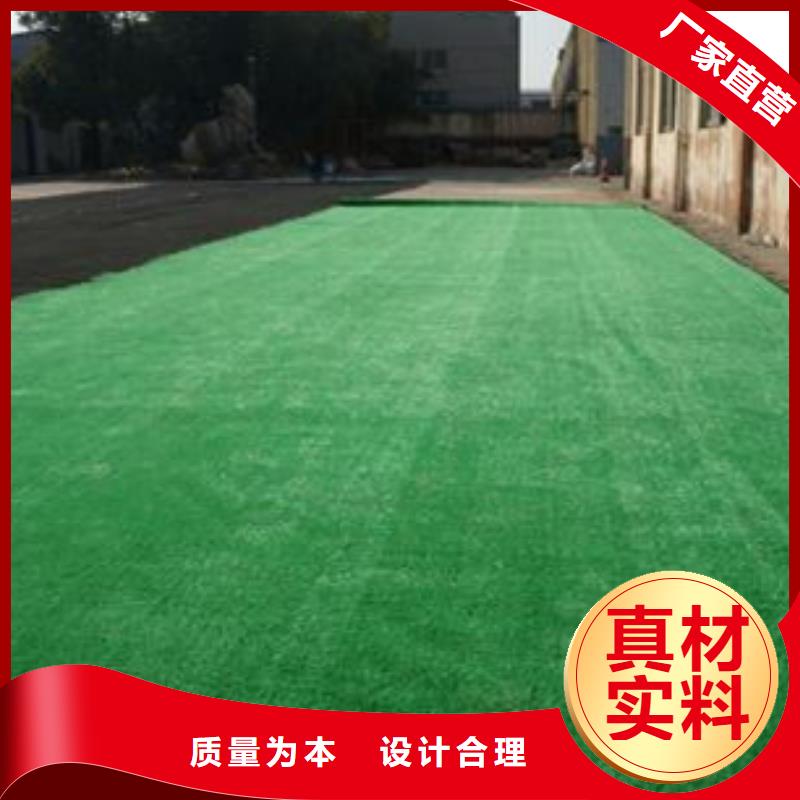 2025橡膠跑道人工草坪