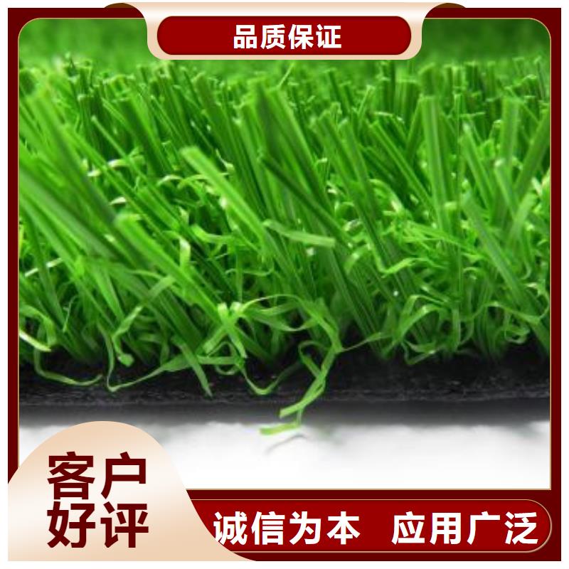 硅pu球場施工