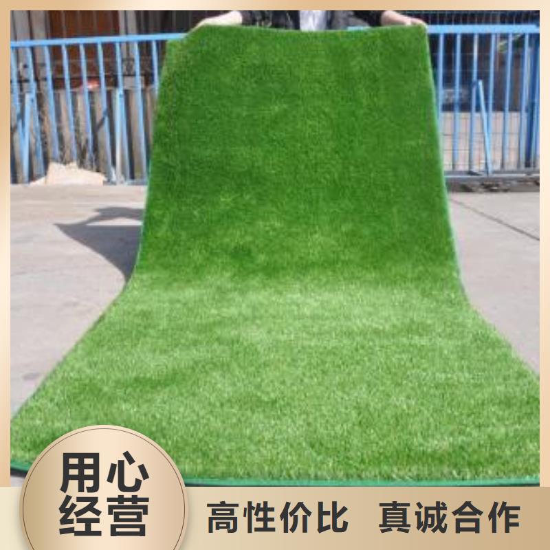 2025硅pu