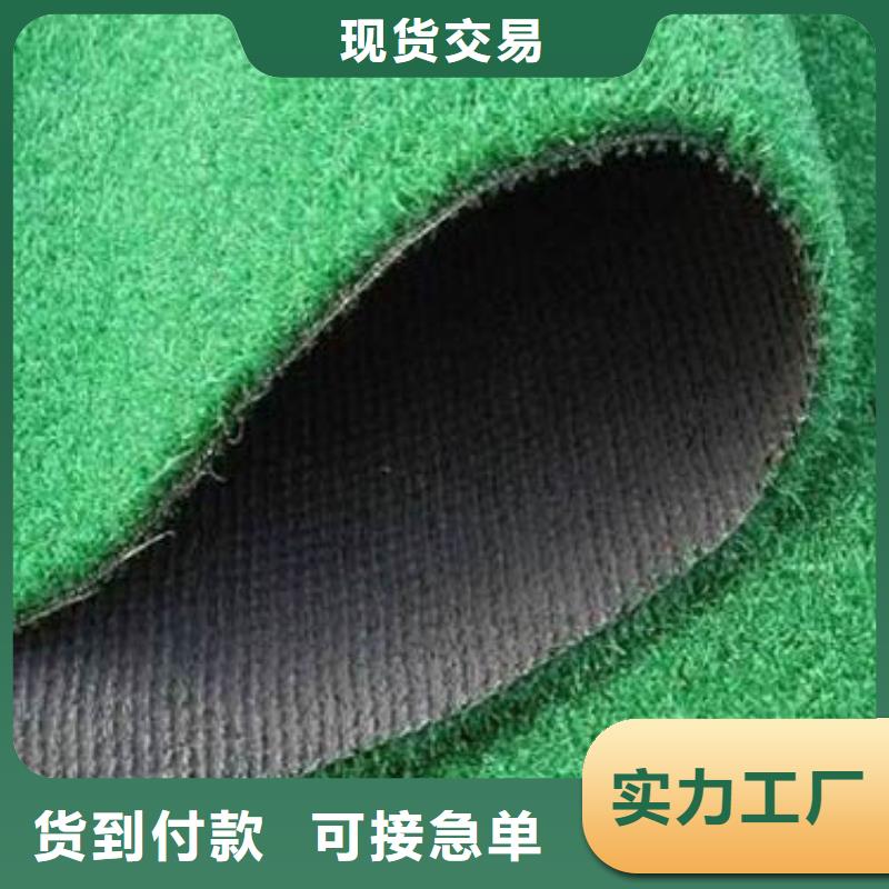 2025混合型塑膠跑道施工