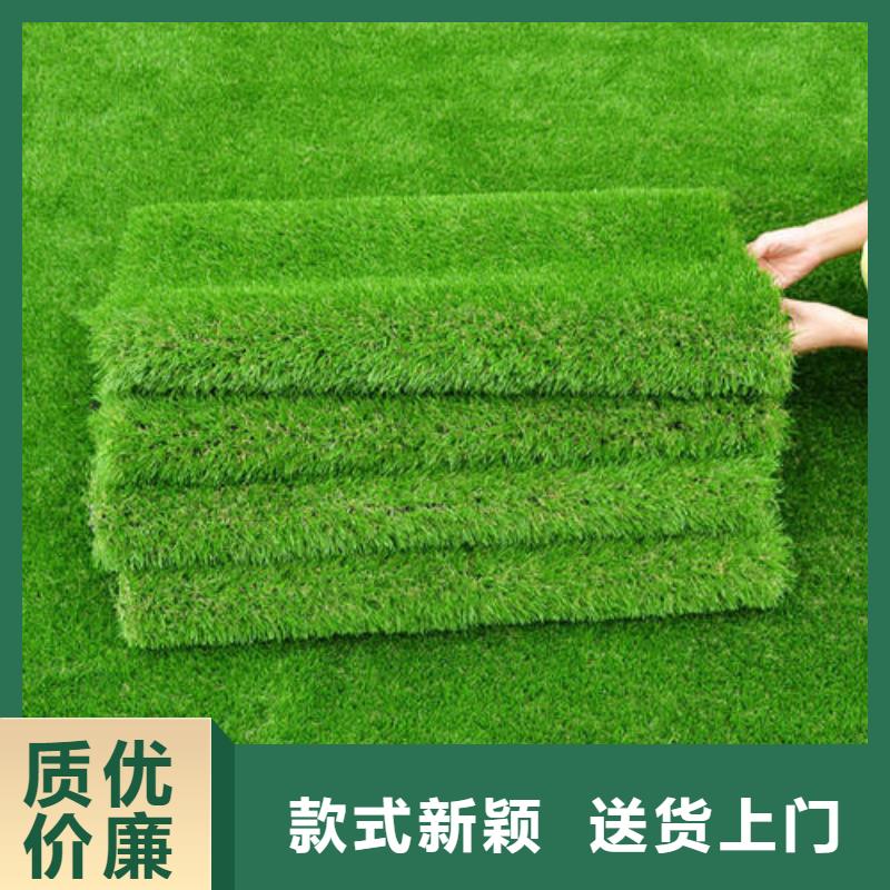 2025硅pu彈性層