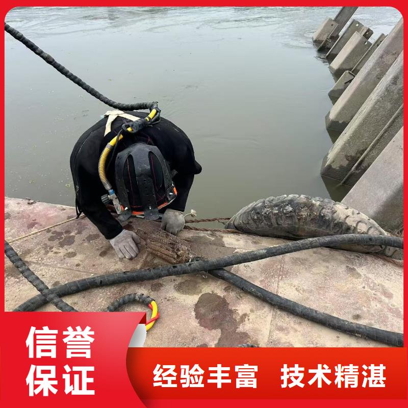 水下封堵-水下生物探測技術精湛