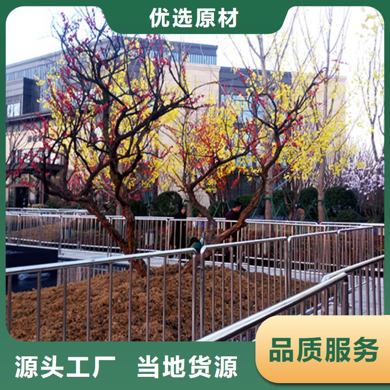 鐵馬護欄出租篷房出租租賃技術好
