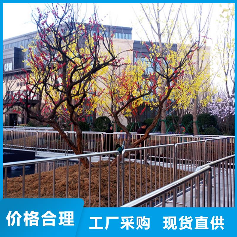 鐵馬護欄出租_出租活動篷房2025公司