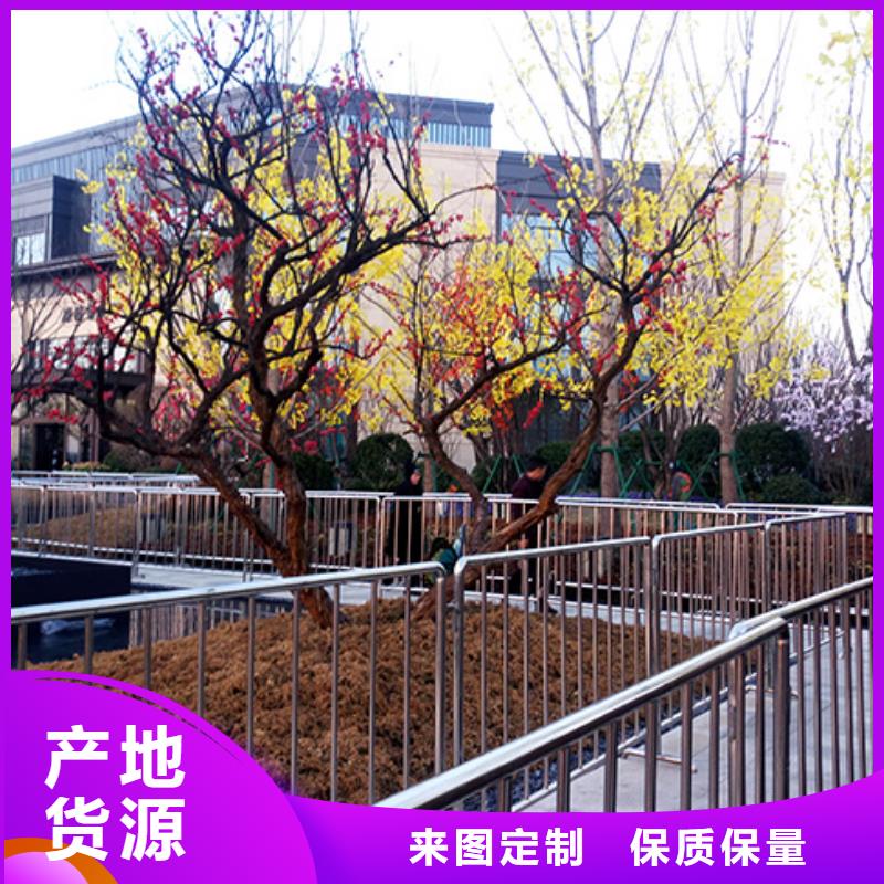 【铁马护栏出租-婚庆篷房租赁服务热情】