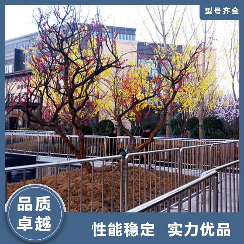 鐵馬護欄出租_出租活動篷房2025公司