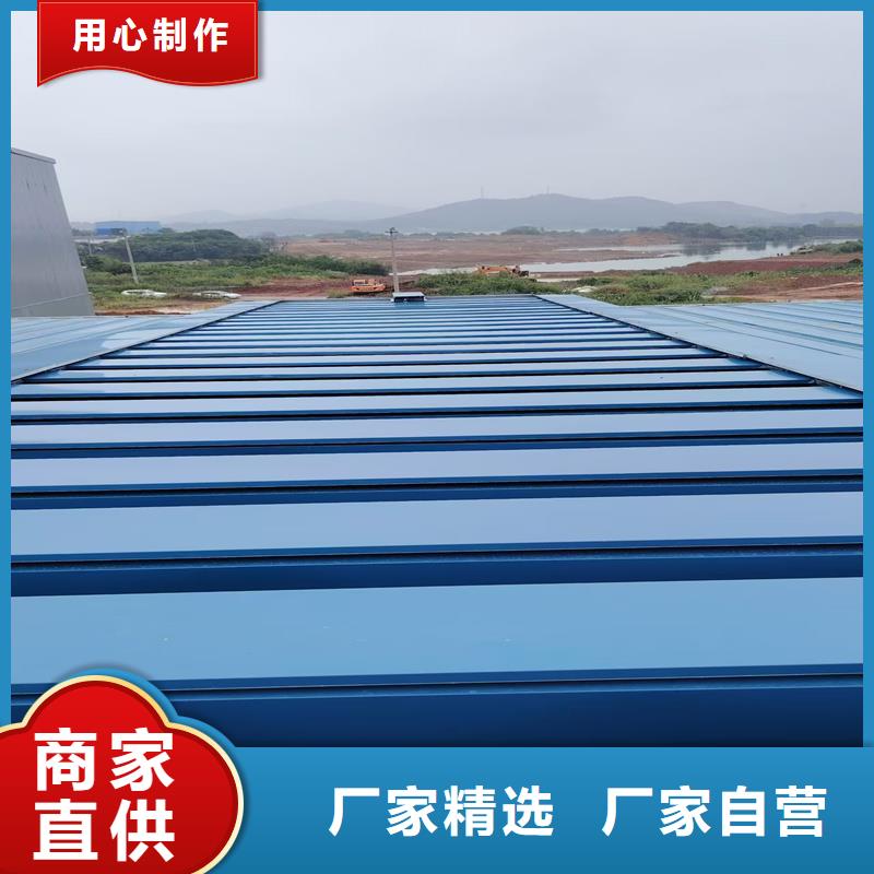 10E型薄型通风天窗(防雪启闭式)全国发货
