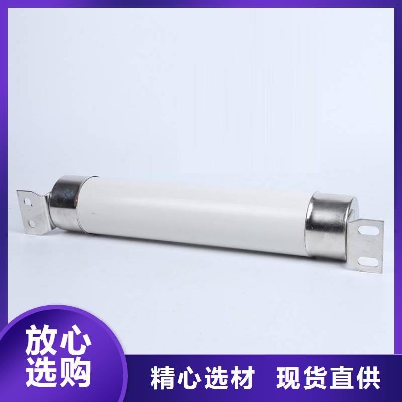 XRNP-3.6/0.5A互感器保護用高壓限流熔斷器