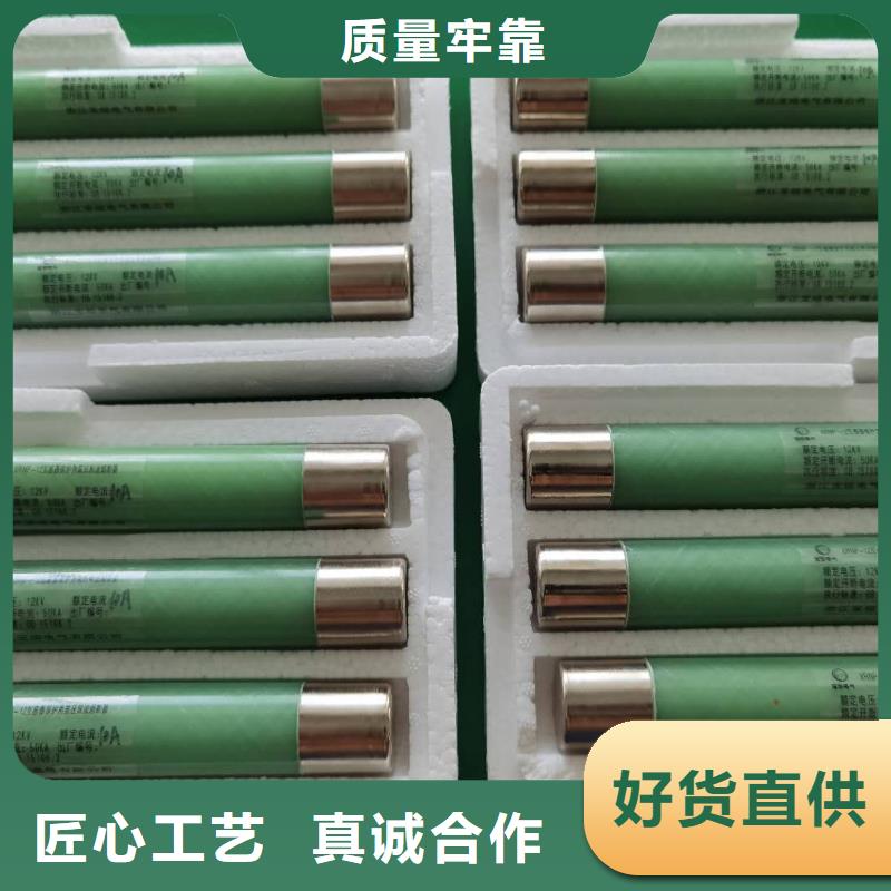 高壓限流熔斷器BRN-10/10A