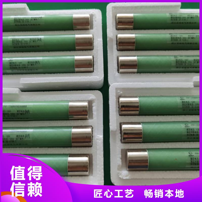 XRNP-10/0.5A1A2A3.15A螺旋式熔斷器
