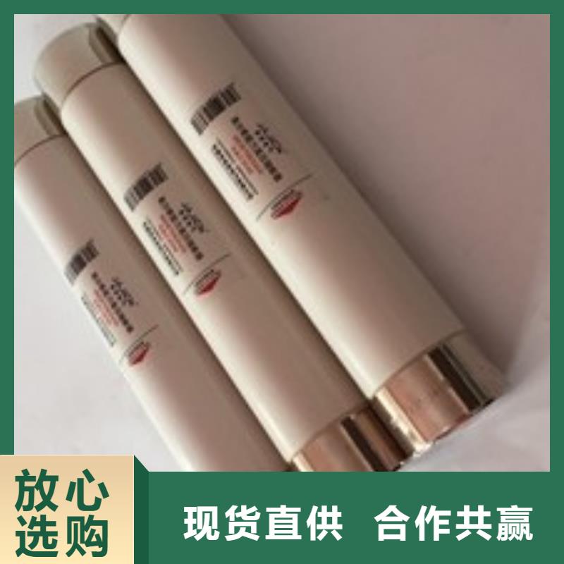 變壓器保護用高壓限流熔斷器XRNT1-7.2KV/40A廠家直銷