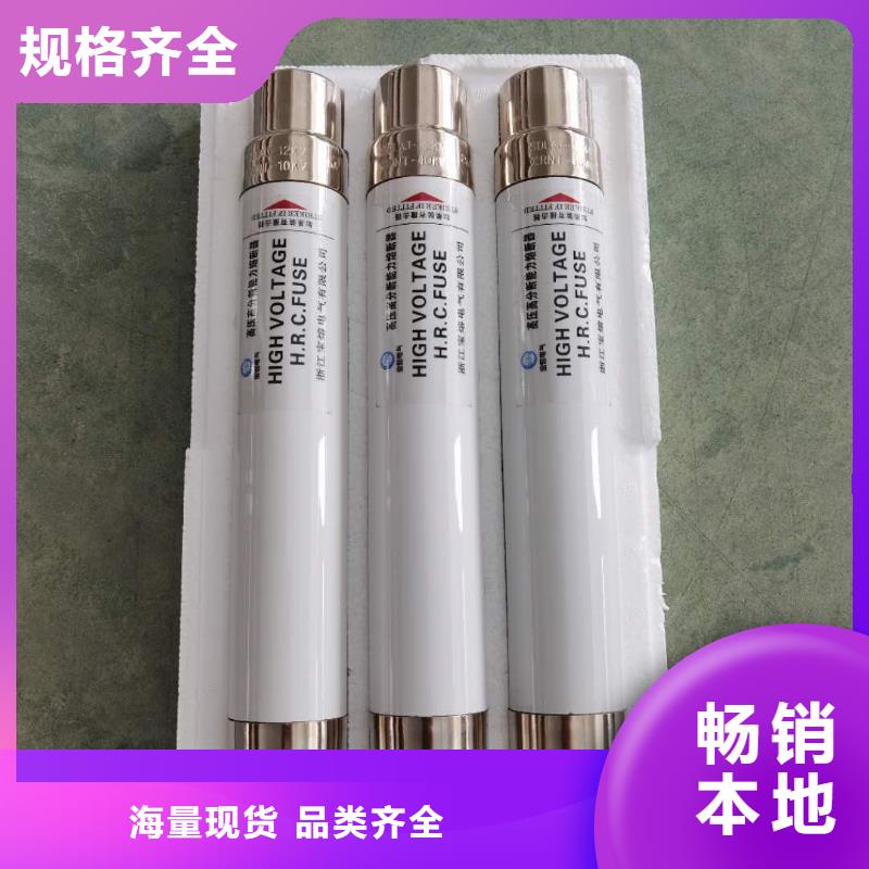 保護(hù)電壓互感器用高壓限流熔斷器XRNP1-3.6/1A