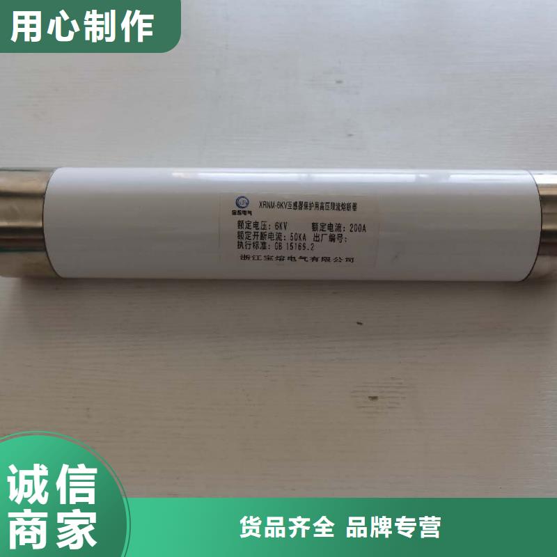 XRNP-7.2KV互感器保護用高壓限流熔斷器