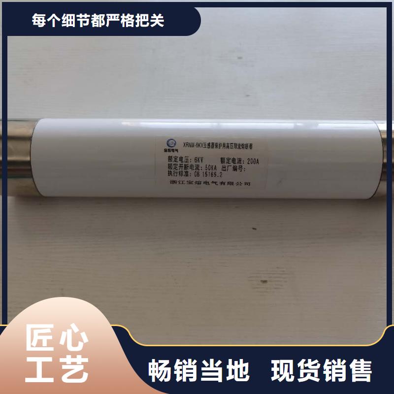 SDLAJ-10/80A100A125A變壓器保護用高壓限流熔斷器