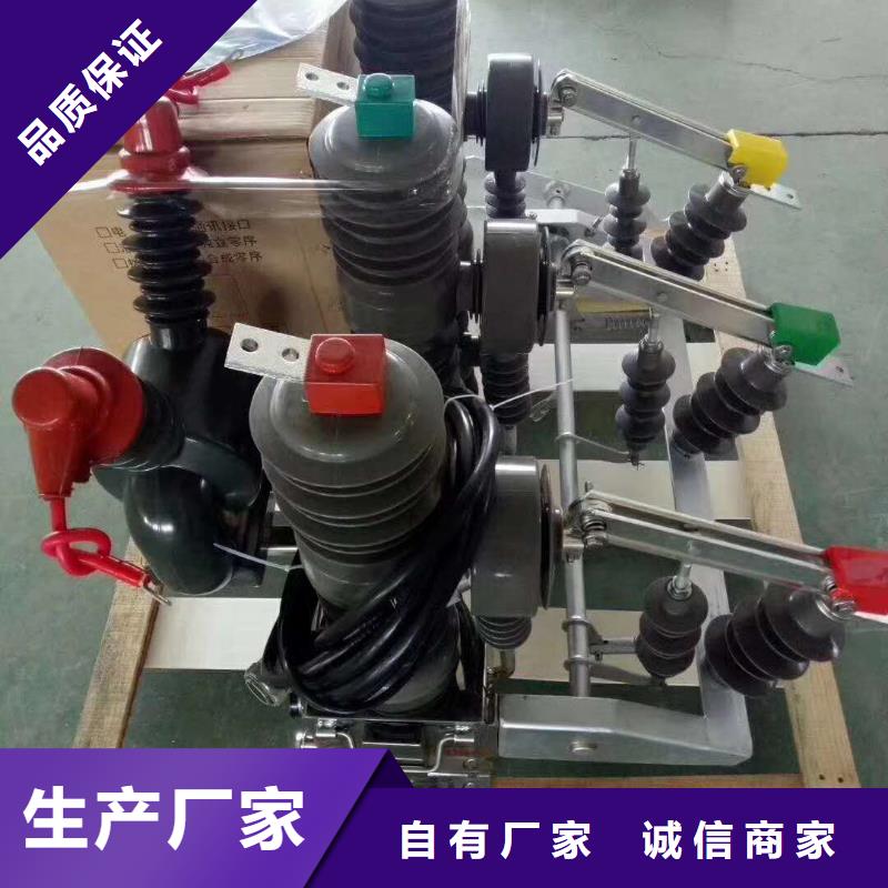 戶外柱上高壓真空斷路器永磁真空斷路器生產廠家