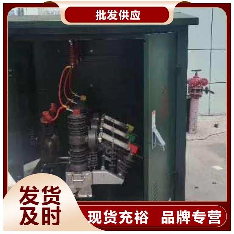 永固戶外高壓真空斷路器ZW32-24G/T630-12.5