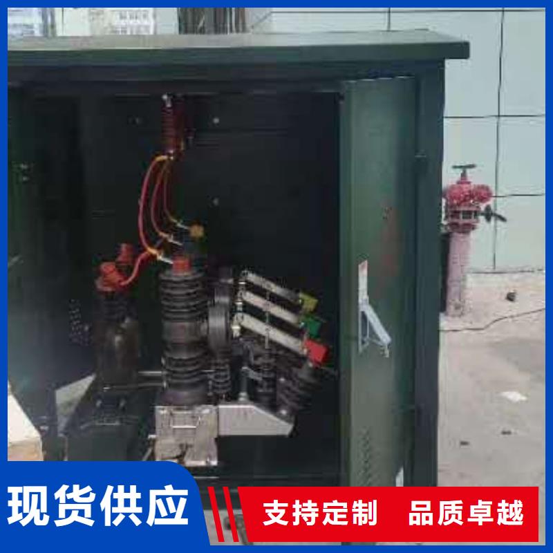廠家ZW32-12G/T630-20戶外高壓真空斷路器