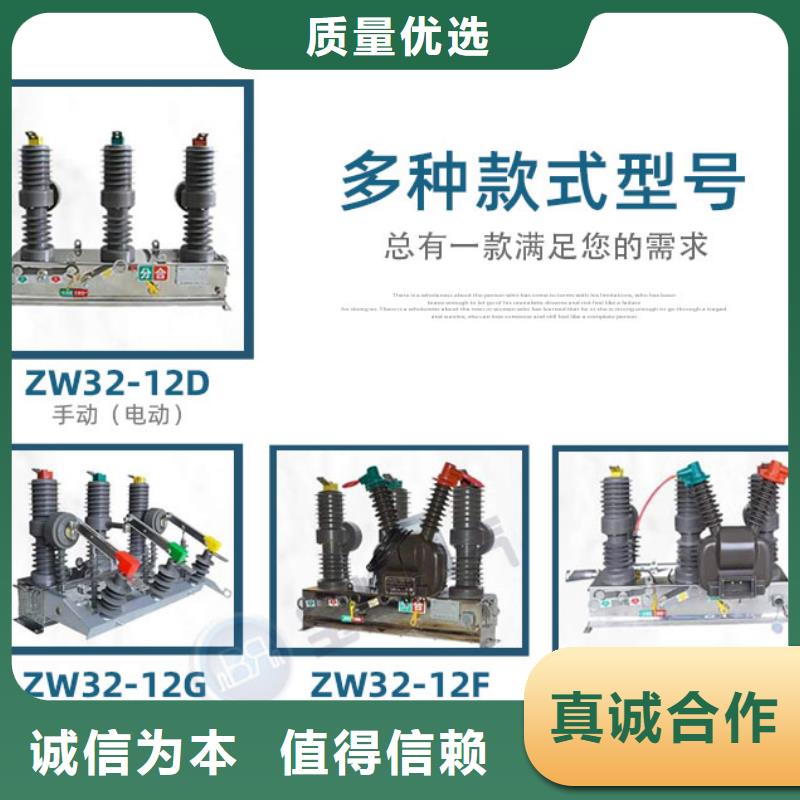 廠家ZW32P-12G/T630-20戶外高壓真空斷路器