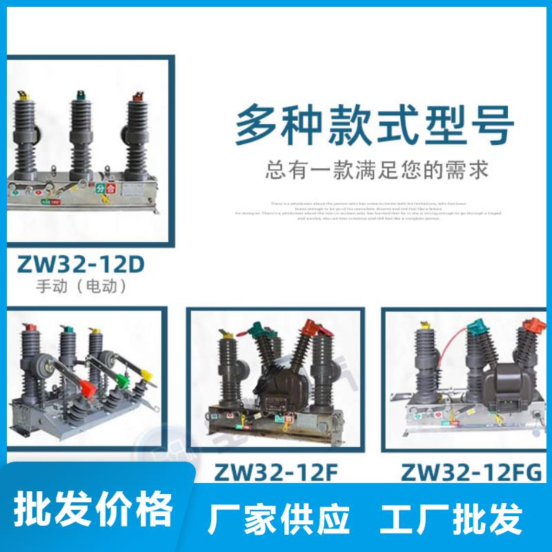 XRNP-10KV高压限流熔断器视频-成都市XRNP-10KV高压限流熔断器-【周边】可服务区域蒲江|新津|雅安|广元|自贡|内江|德阳|遂宁