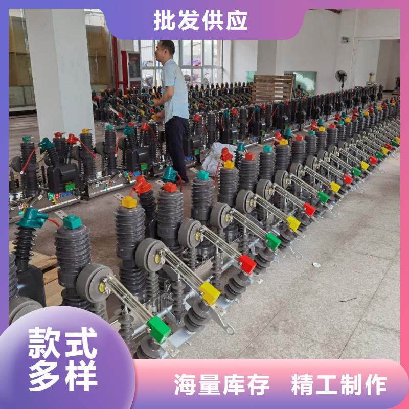 真空斷路器ZW32-12/T630廠家