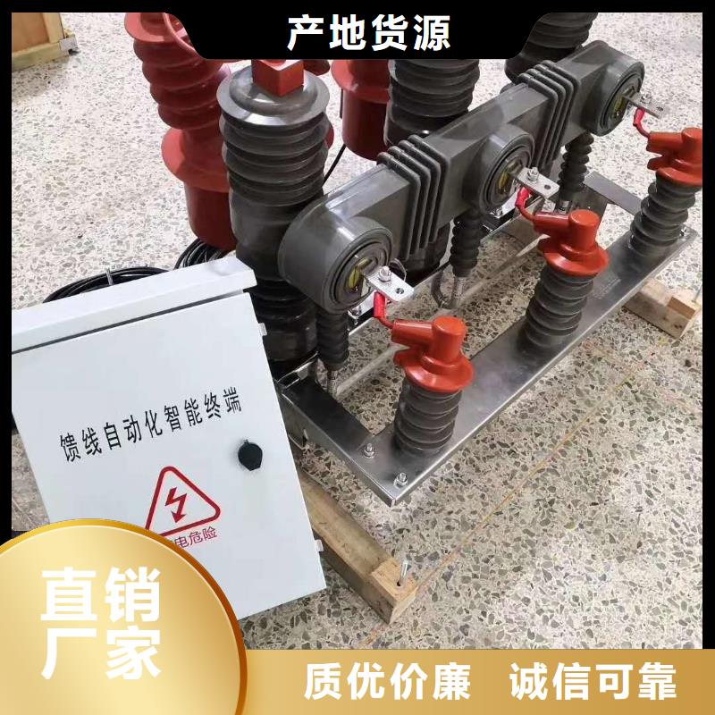 廠家ZW32-12G/T630戶外高壓真空斷路器