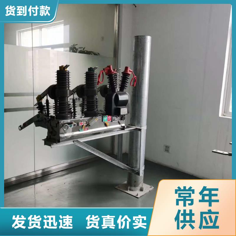 zw32戶外高壓真空斷路器廠家直銷RW9高壓限流熔斷器