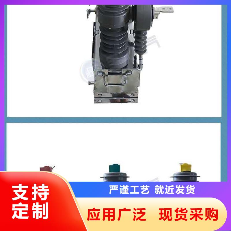 戶外柱上高壓真空斷路器智能真空斷路器型號齊全現貨