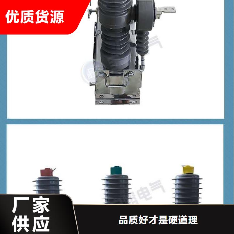 戶外高壓電線桿手動真空斷路器ZW32M-12G/T630-12.5