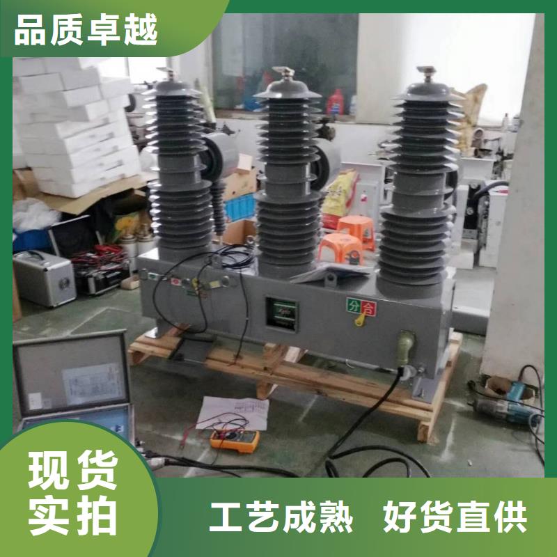 戶外高壓真空斷路器ZW32P-12/T630-12.5