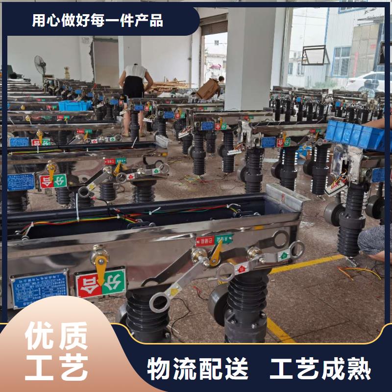 zw20-12-12G戶外高壓真空斷路器ZW32-12G/630