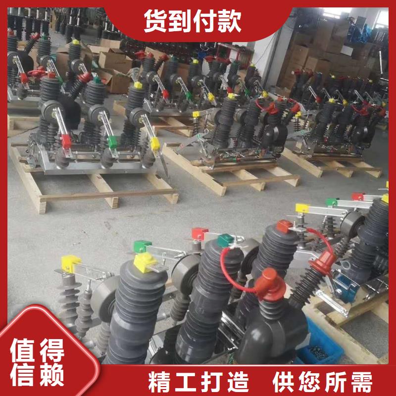 XRNP-10KV高压限流熔断器视频-成都市XRNP-10KV高压限流熔断器-【周边】可服务区域蒲江|新津|雅安|广元|自贡|内江|德阳|遂宁