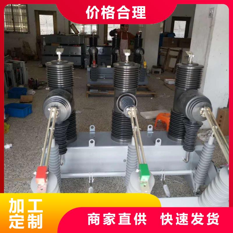 戶外柱上高壓真空斷路器智能真空斷路器型號齊全現貨