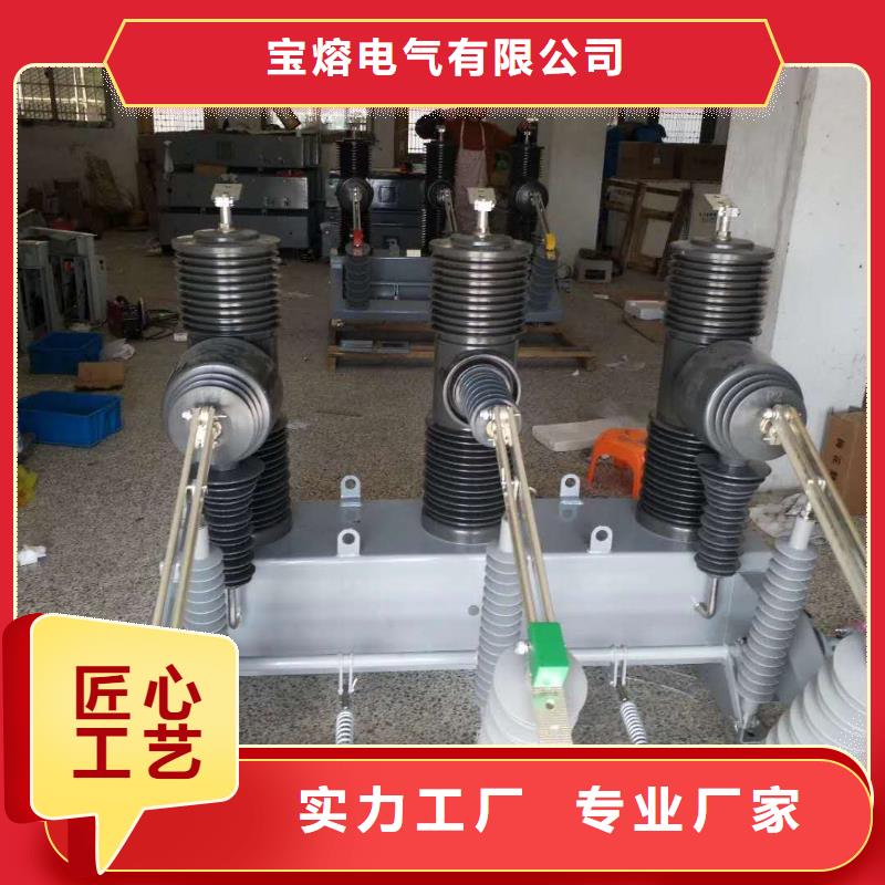 zw20-12-12G戶外高壓真空斷路器ZW32-12G/630