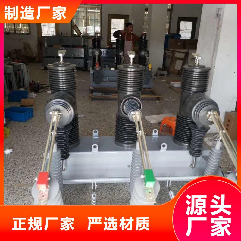 澄邁縣ZW32M-12/630-20戶外高壓真空斷路器