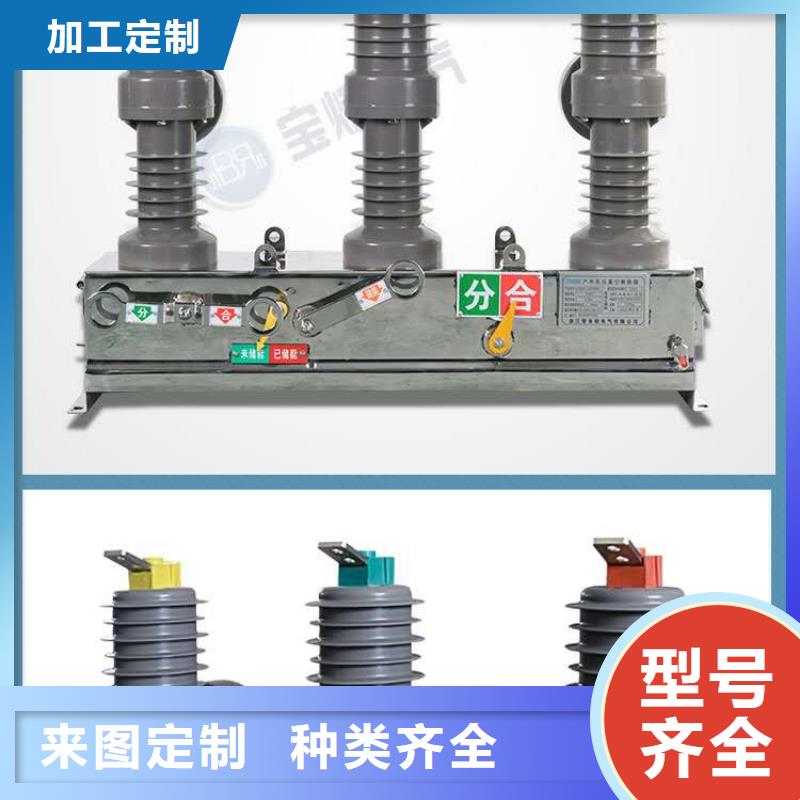 真空斷路器-戶外單極隔離開關(guān)廠家大量現(xiàn)貨