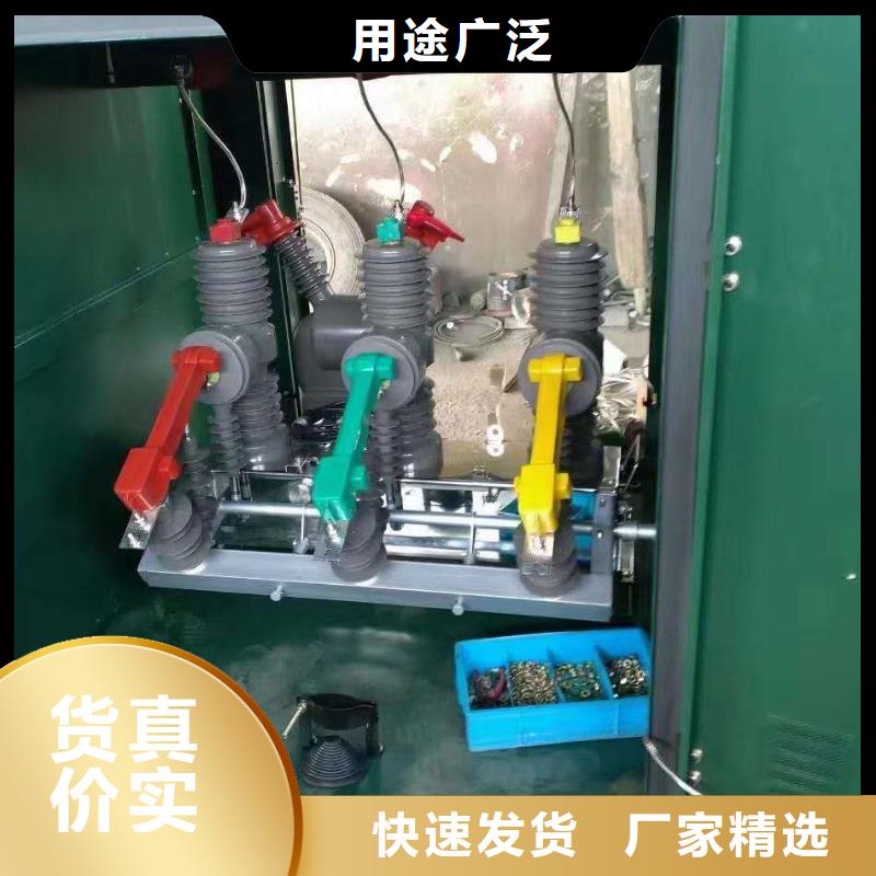 XRNP-10KV高压限流熔断器视频-成都市XRNP-10KV高压限流熔断器-【周边】可服务区域蒲江|新津|雅安|广元|自贡|内江|德阳|遂宁