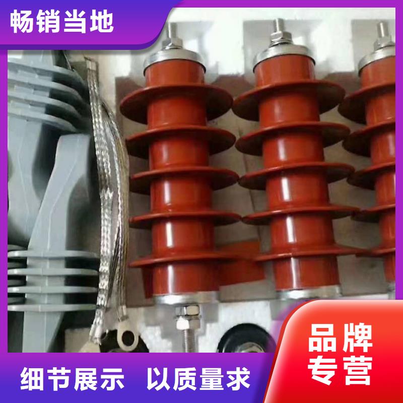 氧化鋅避雷器高壓避雷器HY5WS-17-45Q直銷現貨