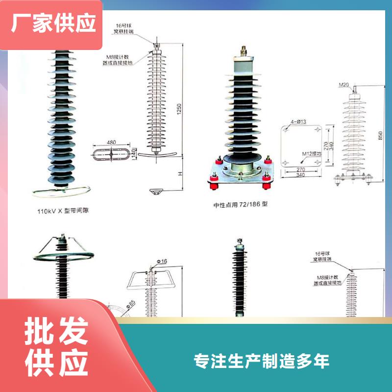 【氧化鋅避雷器】高壓保險絲保險管專注產品質量與服務