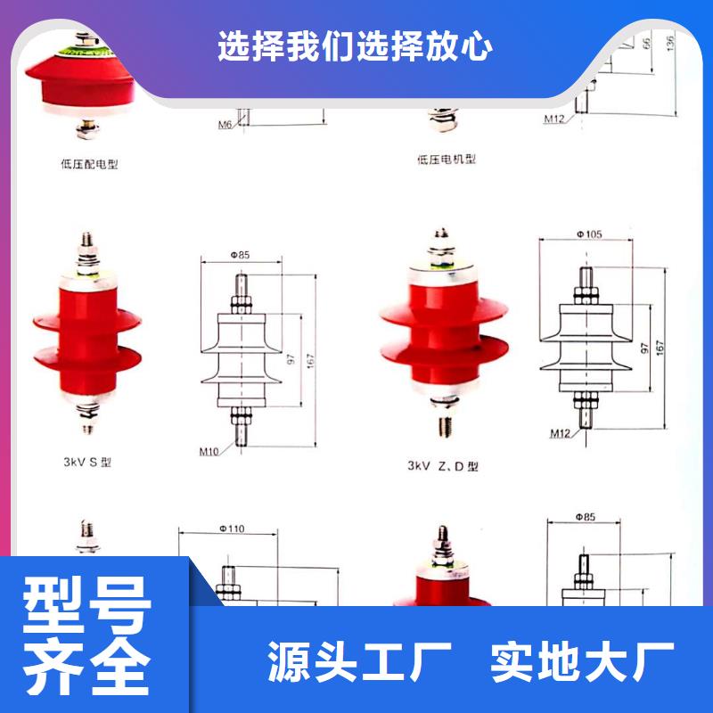 電站型氧化鋅避雷器避雷器HY10WZ-100/260廠家