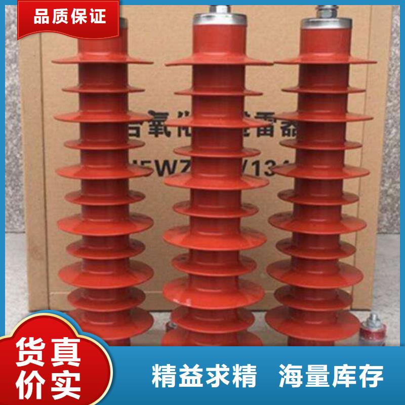 三沙市線路無間隙型避雷器Y10WX-96/250