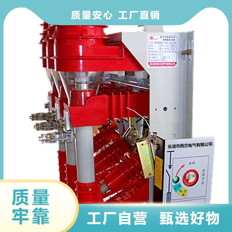 高壓負(fù)荷開關(guān)-戶外高壓真空斷路器選擇大廠家省事省心