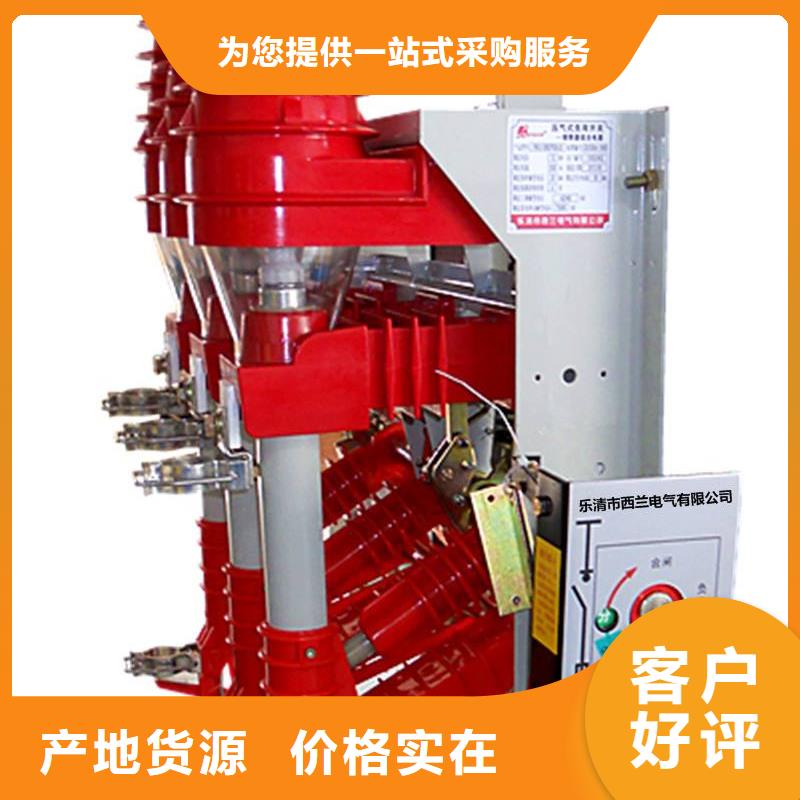 FN21-12D/T630-20負(fù)荷開關(guān)廠家