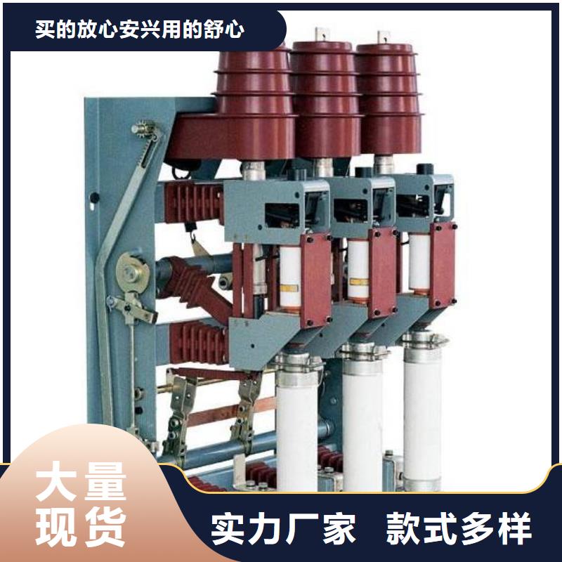 10KV高壓負荷開關FN12-12/630A環網柜內壓氣式負荷開關電動