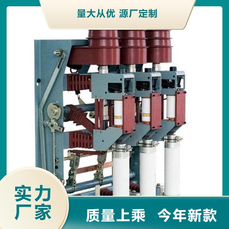 高壓負荷開關現貨FKN12-12RD/125A高壓熔斷器