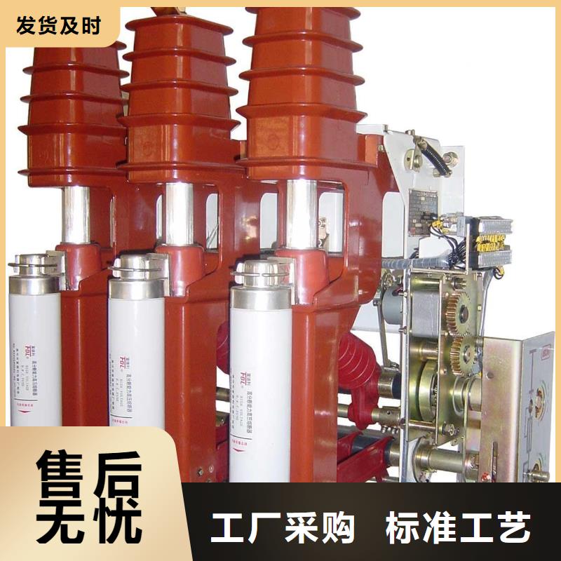 柜內負荷開關ZFN21-12DR/T125-31.5生產廠家
