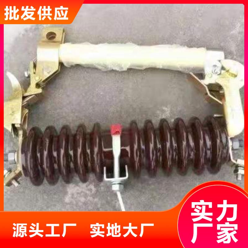 生產(chǎn)廠家RW12-10/100A高壓跌落式熔斷器