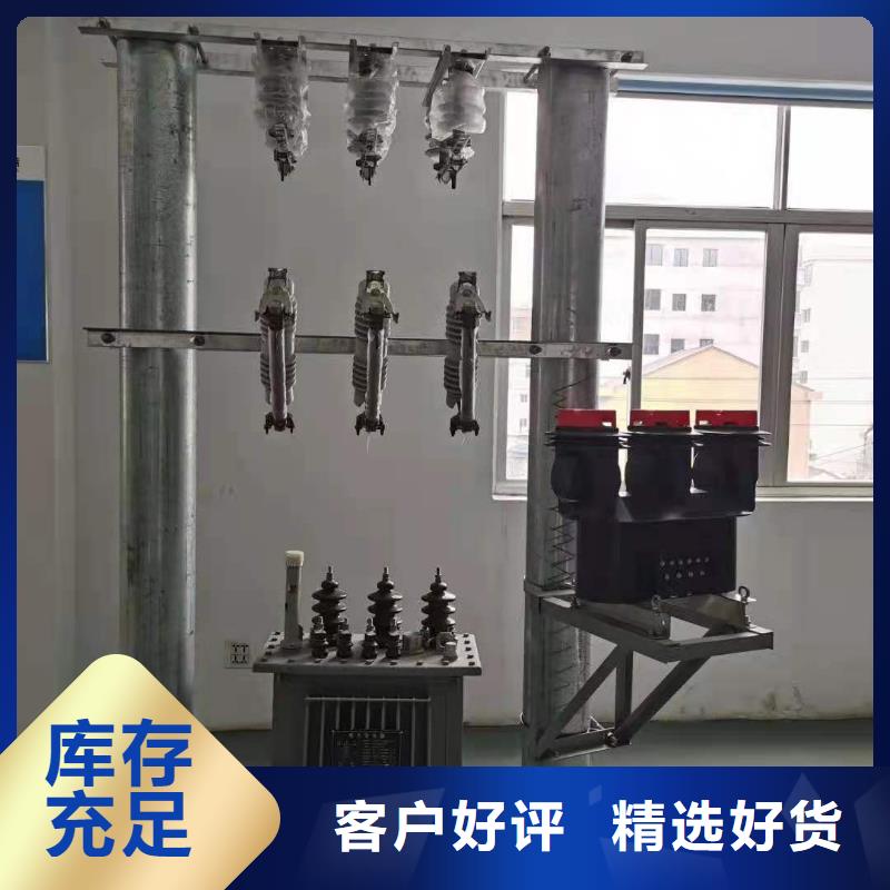 戶外高壓跌落式熔斷器RW12-10/100A廠家直銷