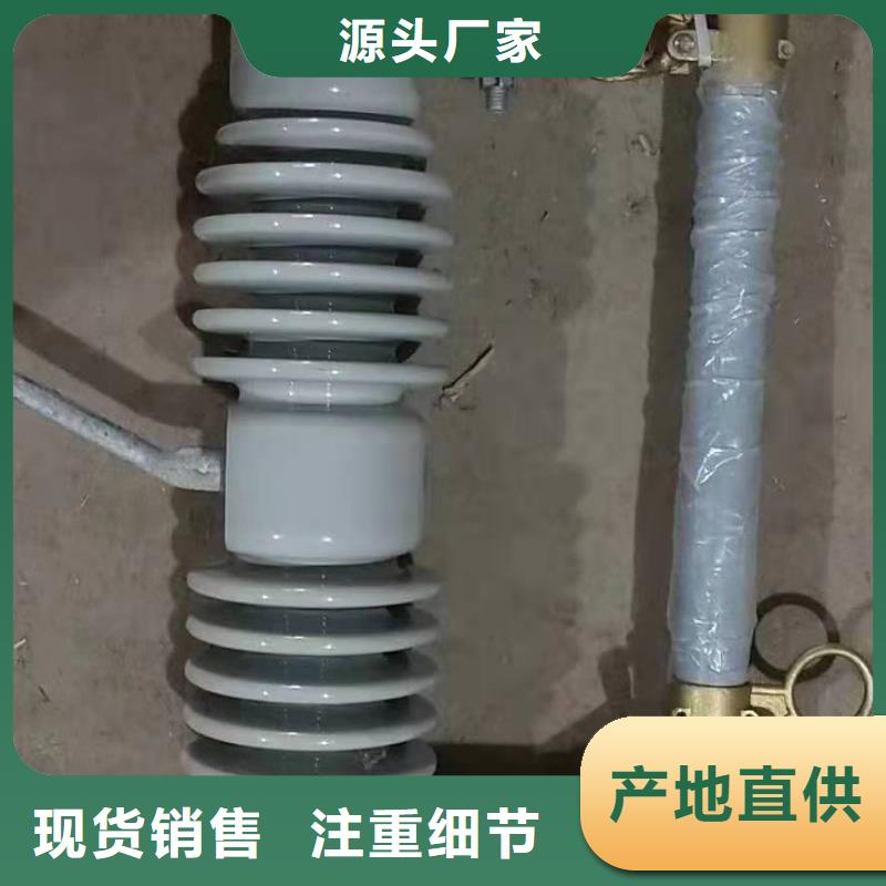 【跌落式熔斷器高壓限流熔斷器款式多樣】